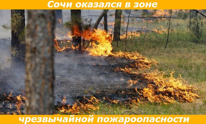 ﻿ Сочи оказался в зоне чрезвычайной пожароопасности Сочи