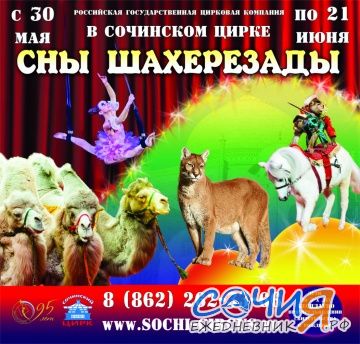 Сны Шахерезады в Сочинском Цирке Сочи