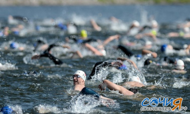 В Сочи 28 июня Кубок Чемпионов по плаванию на открытой воде Сочи